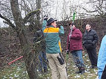 Winterschnittkurs an Obstbäumen durch professionellen Trainer